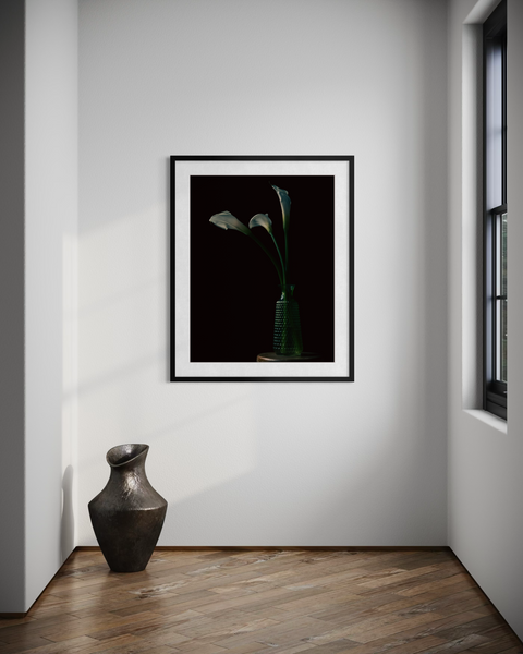 Cala Lily