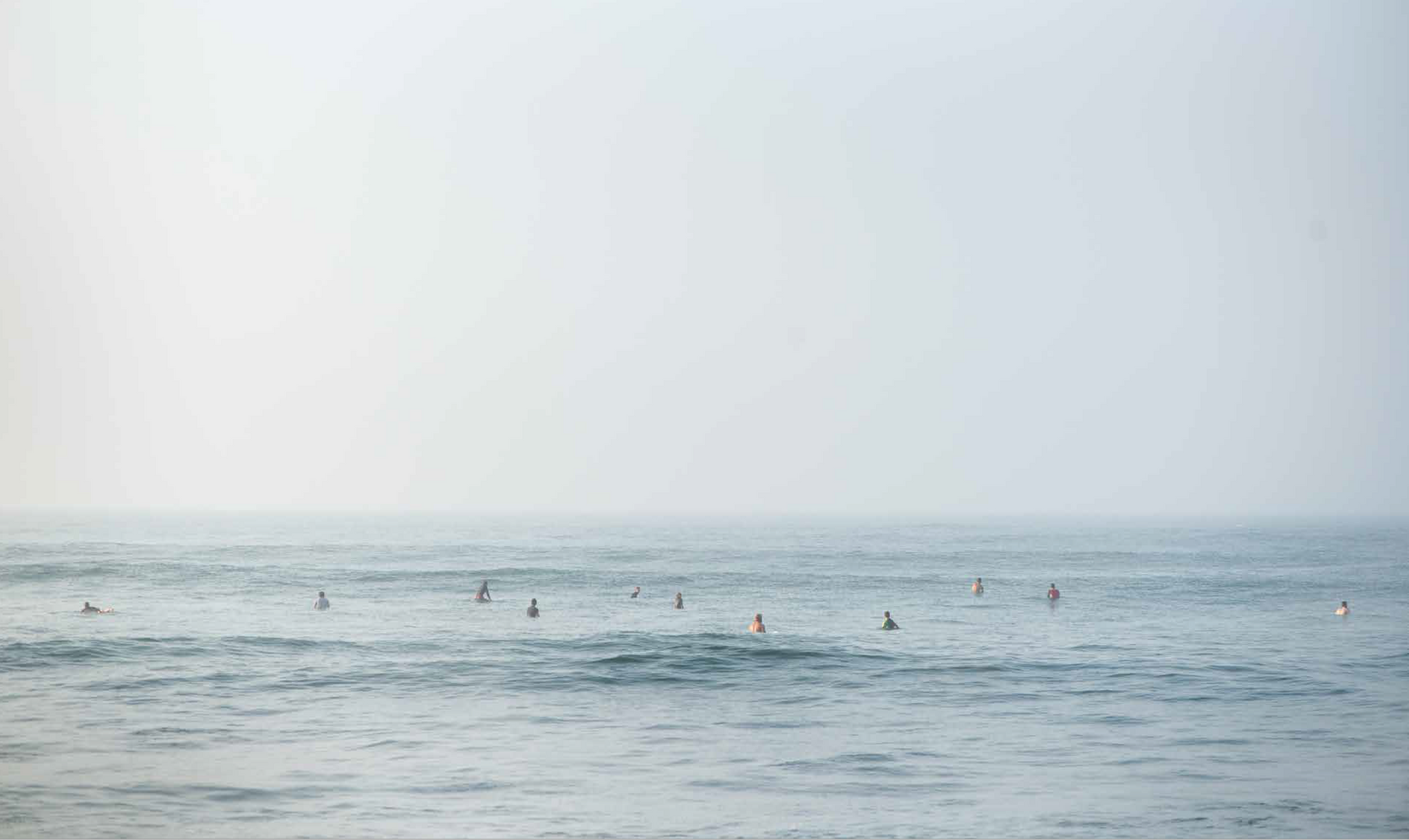 The Surfers