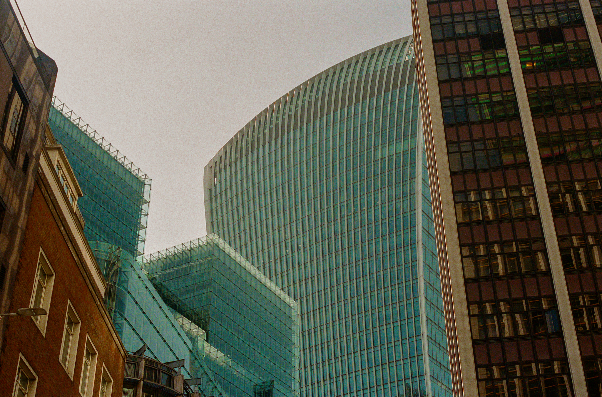 The City